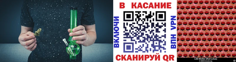 НБОМе Саров