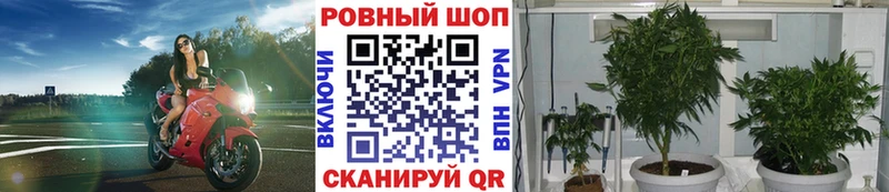 Наркошоп купить Кокаин А ПВП Конопля Меф Саров