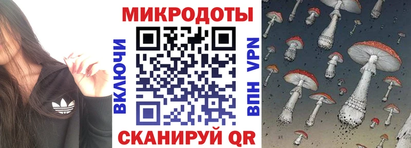 Галлюциногенные грибы ЛСД  Купить закладки  Саров 