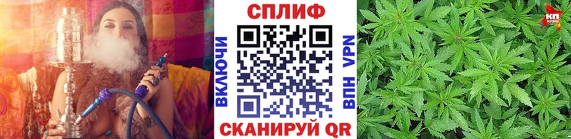 Купить  Саров  Марихуана White Widow 